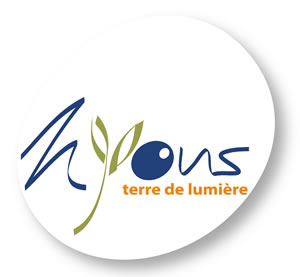 Logo du centre hospitalier de Vienne